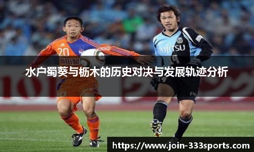 333体育登录入口
